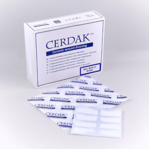 Cerdak
