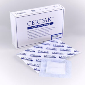 Cerdak